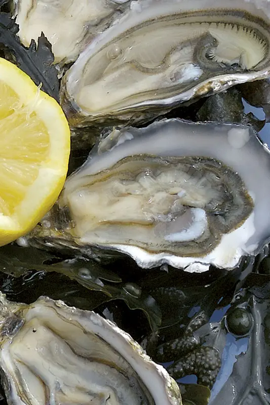 Huîtres fraîches au citron
