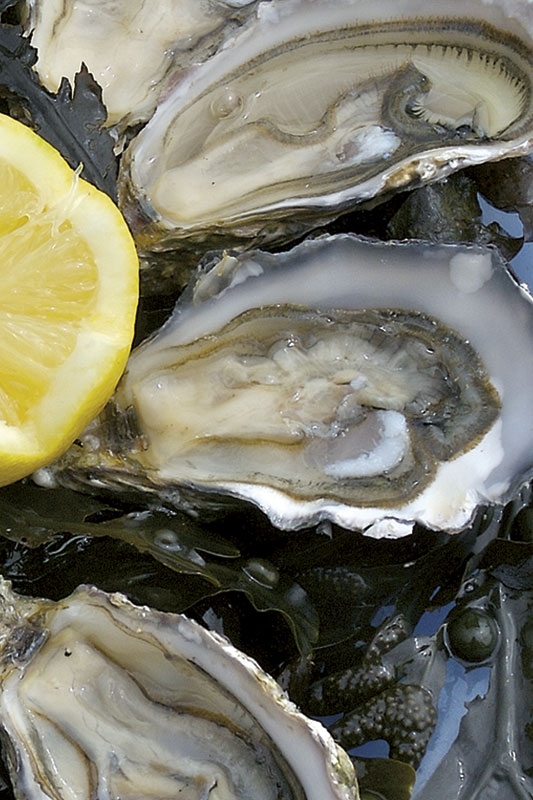 Assiette d'huîtres